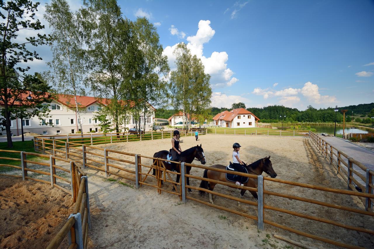 Swietokrzyska Polana - Medical Resort Chrusty Buitenkant foto